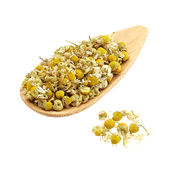 Camomile Herbal Tea Delicate Floral Infusion